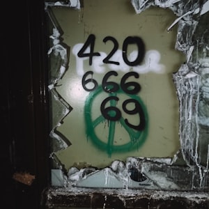 666 - Alarma (Jankes Remix)
